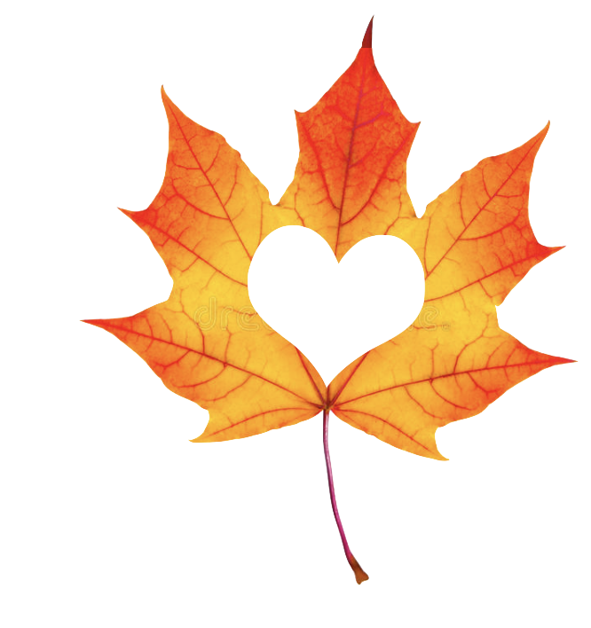 autumn-revival-about